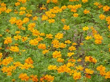 20140915_4.jpg