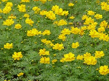 20140915_5.jpg