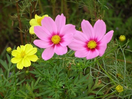 20140915_6.jpg