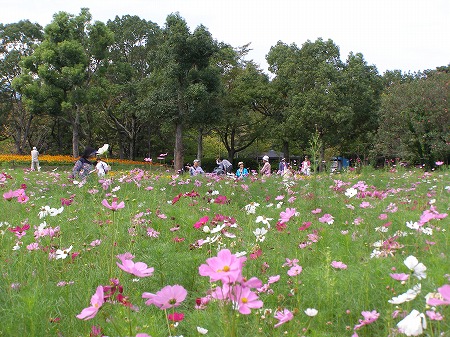 20140921_1.jpg
