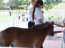 20140921_12.jpg