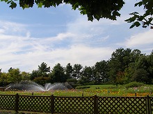 20140921_3.jpg