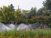 20140923_3.jpg