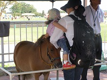 20140923_9.jpg