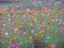 20140924_1.jpg
