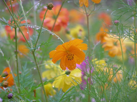 20140924_2.jpg