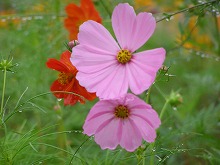 20140924_3.jpg