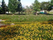 20140925_1.jpg