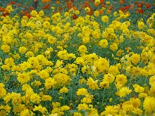 20140925_2.jpg