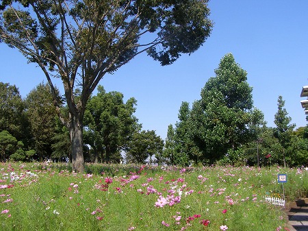 20140927_1.jpg