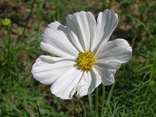20140927_4.jpg