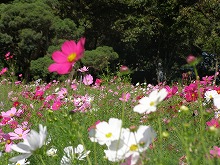 20140928_3.jpg