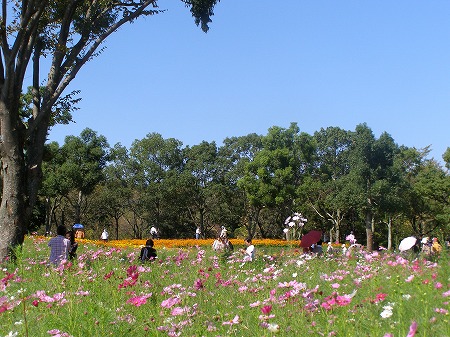 20140928_4.jpg