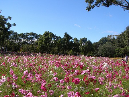 20141006_2.jpg