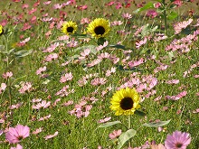20141024_5.jpg