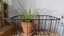 20141024_7.jpg