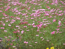 20141026_2.jpg