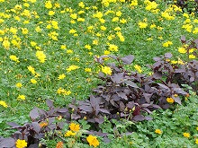 20141026_3.jpg