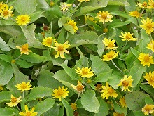 20141026_7.jpg