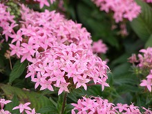 20141026_8.jpg