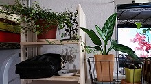 20141121_5.jpg