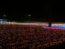 20141125_1.jpg