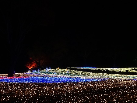20141126_1.jpg