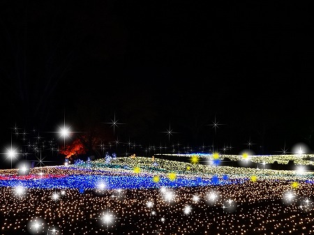 20141126_7.jpg