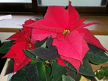 20141127_5.jpg