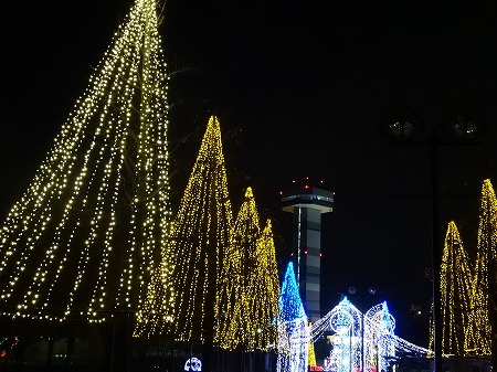 20141203_1.jpg