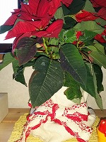 20141203_4.jpg