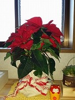 20141203_5.jpg
