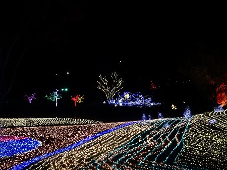 20141205_4.jpg