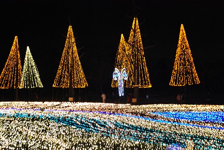 20141210_1.jpg