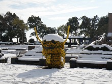 20141219_6.jpg