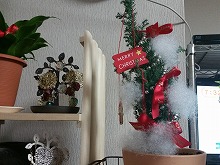 20141225_5.jpg