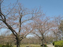 20150327_3.jpg