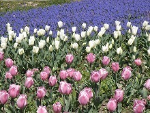 20150327_7.jpg