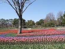 20150328_5.jpg
