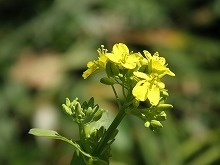 20150328_6.jpg