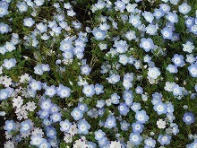 20150424_3.jpg