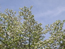 20150429_3.jpg