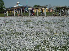 20150504_8.jpg