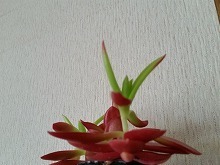 20150525_11.jpg