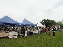 20150525_9.jpg