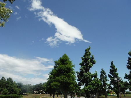 20150606_1.jpg