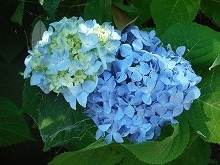 20150606_3.jpg