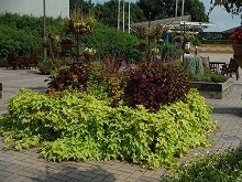 20150916_4.jpg