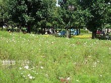 20150919_2.jpg