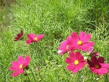 20150919_4.jpg